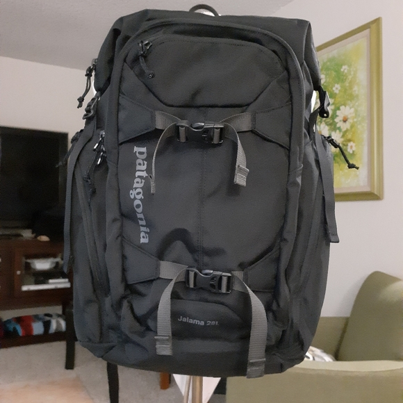 Patagonia Handbags - Patagonia backpack